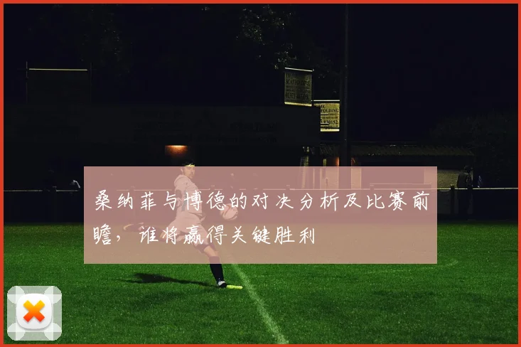 桑纳菲与博德的对决分析及比赛前瞻，谁将赢得关键胜利