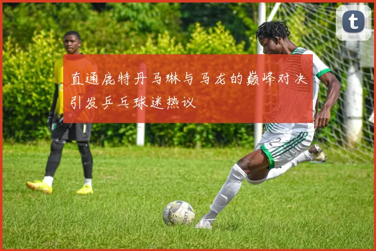直通鹿特丹马琳与马龙的巅峰对决引发乒乓球迷热议